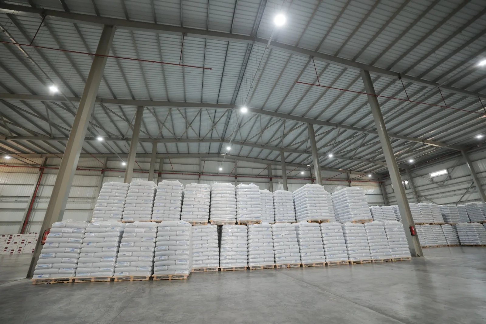 Distribution at DEPOT Egypt